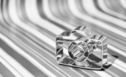 005 - imago pellucidum